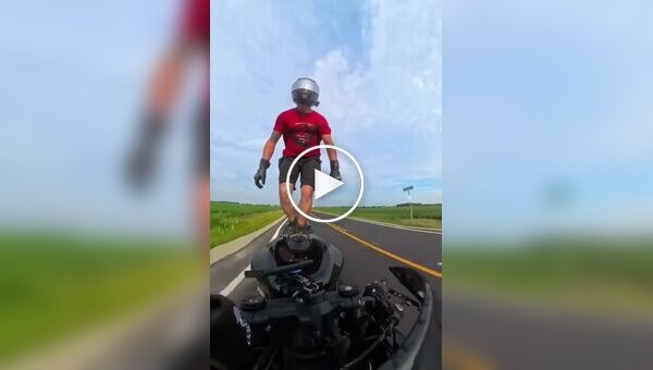Дурная голова покоя не дает