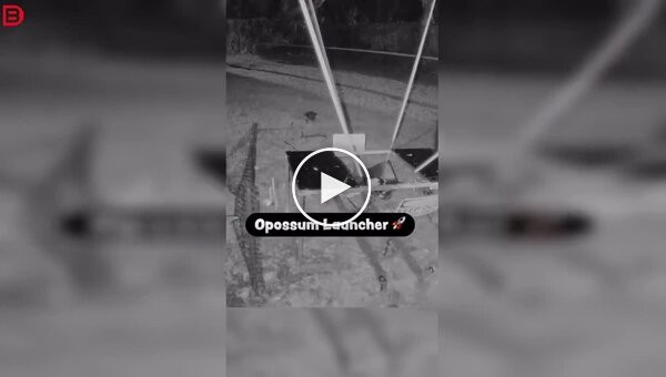 Опоссума запустили в небо, используя крупную самодельную рогатку