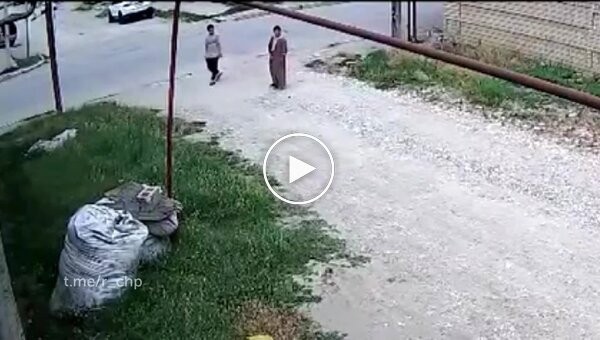 Лошадь сбила мужчину со скутера