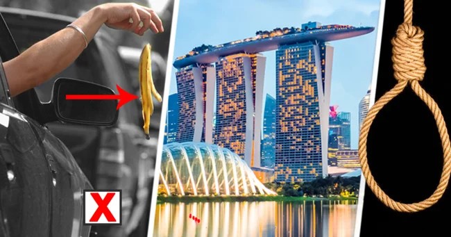 Сорри, нам плевать, закон есть закон (5 фото)