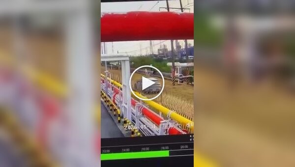 Ловец игуан оставил без света три нефтехимических завода