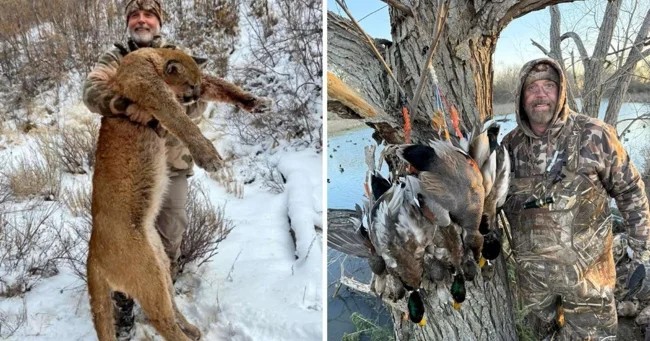 В ЮАР буйвол убил охотника за трофеями (6 фото)