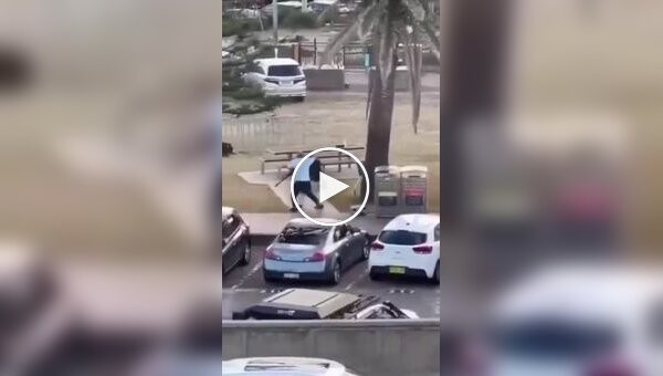 С голыми руками на винтовку: прохожий в Сиднее голыми руками обезвредил террориста