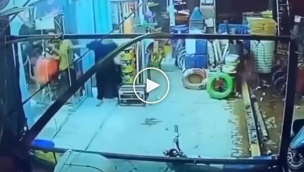 Корова устроила переполох в парикмахерской