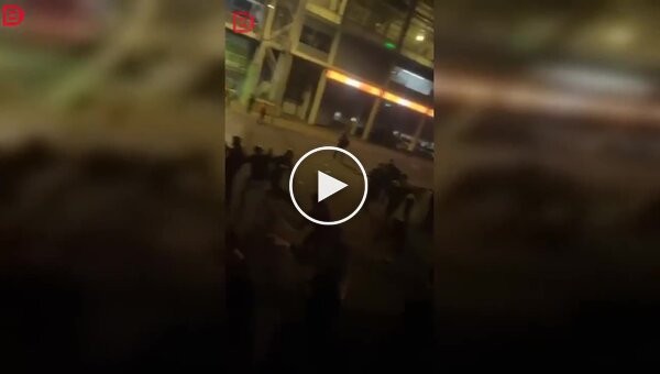 Собака случайно укусила полицейского