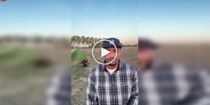 Песня на камеру и неожиданный фон