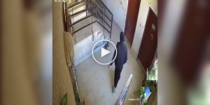 Карма сработала мгновенно: женщина пнула кота и тут же упала