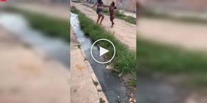 Когда сила встречает ловкость